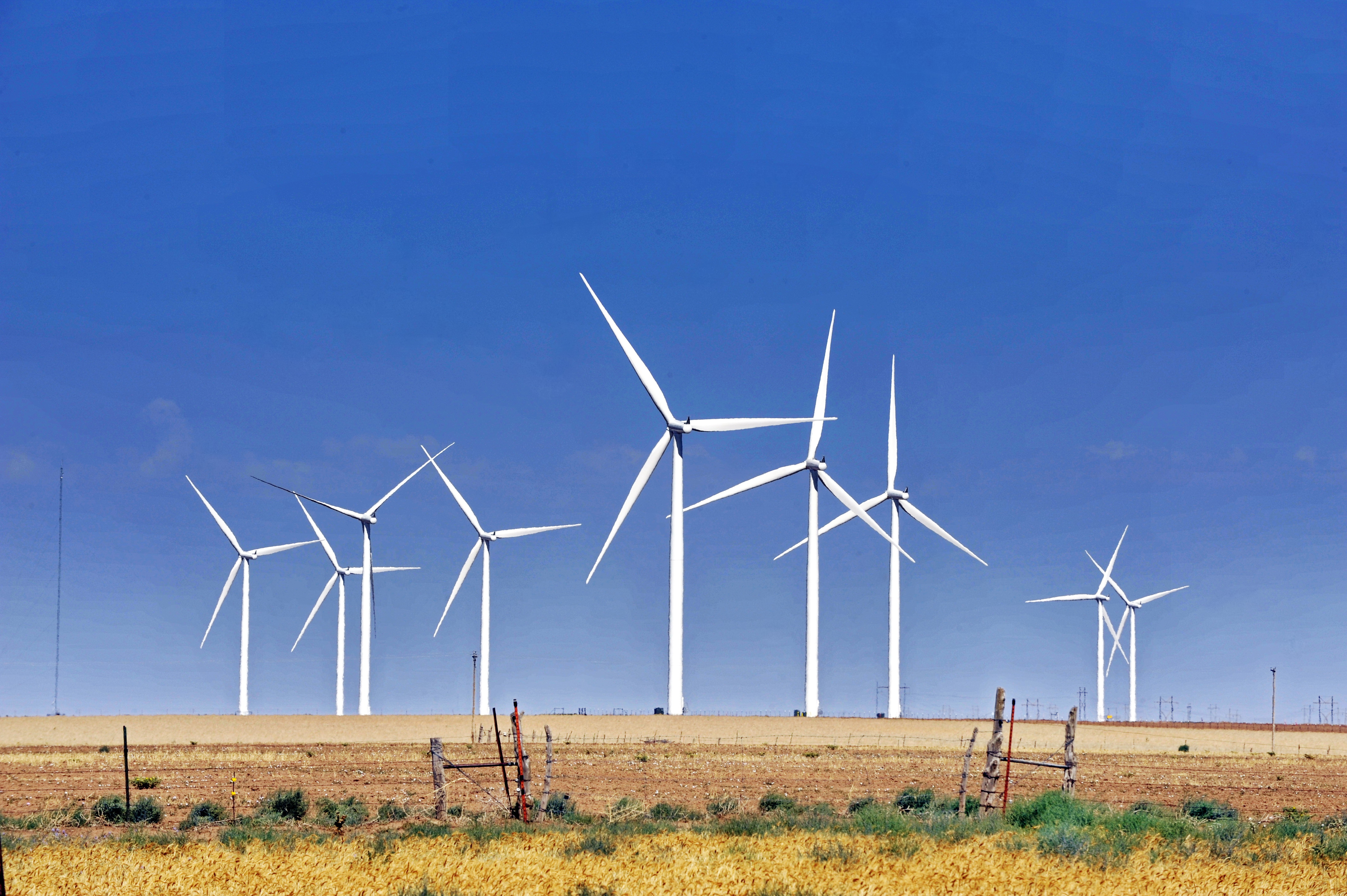 Ralph_Duke_wind_turbines.jpg